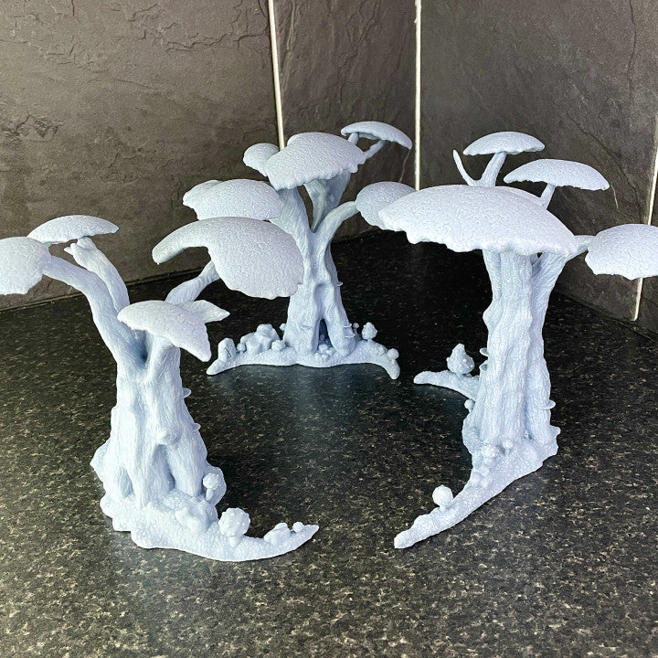 Wild Forest Trees
